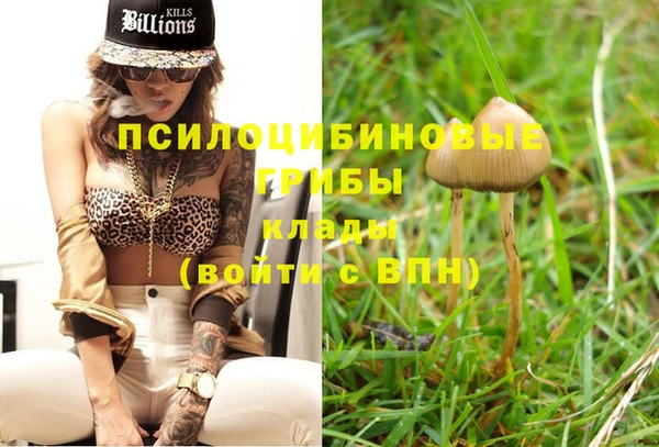эйфоретик Козельск